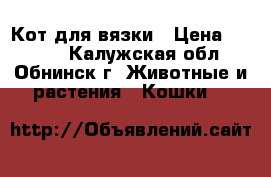 Кот для вязки › Цена ­ 1 000 - Калужская обл., Обнинск г. Животные и растения » Кошки   